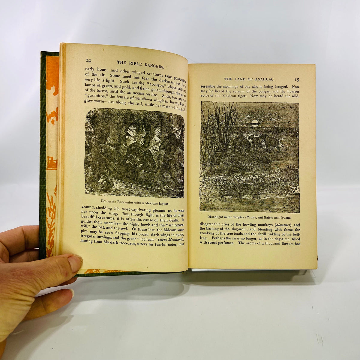 The Rifle Rangers by Captain Mayne Reid M A Donohue & Co Vintage Book