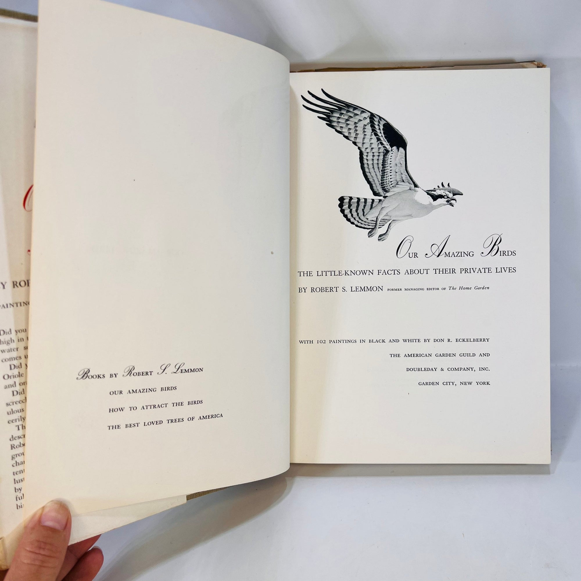 Our Amazing Birds little known facts about their private lives by Robert S. Lemon 1952 Odd and Interesting Data of 102 Birds Double Day Pub