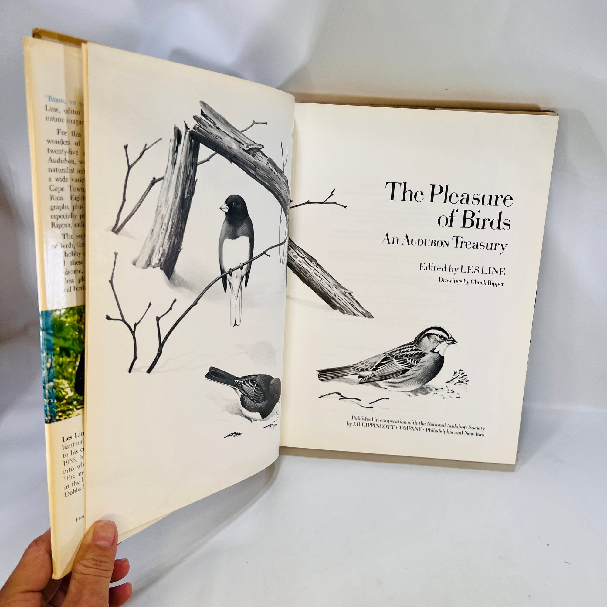 The Pleasure of Birds an Audubon Treasury edited by Les Line drawings by Chuck Ripper 1975 J.B. Lippincott Co Vintage Birding Book