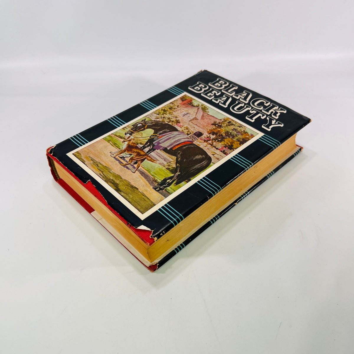 Black Beauty the Autobiography of a Horse by Anna Sewell M. A Donohue & Co