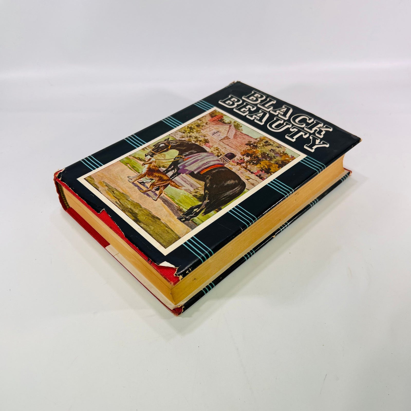 Black Beauty the Autobiography of a Horse by Anna Sewell M. A Donohue & Co