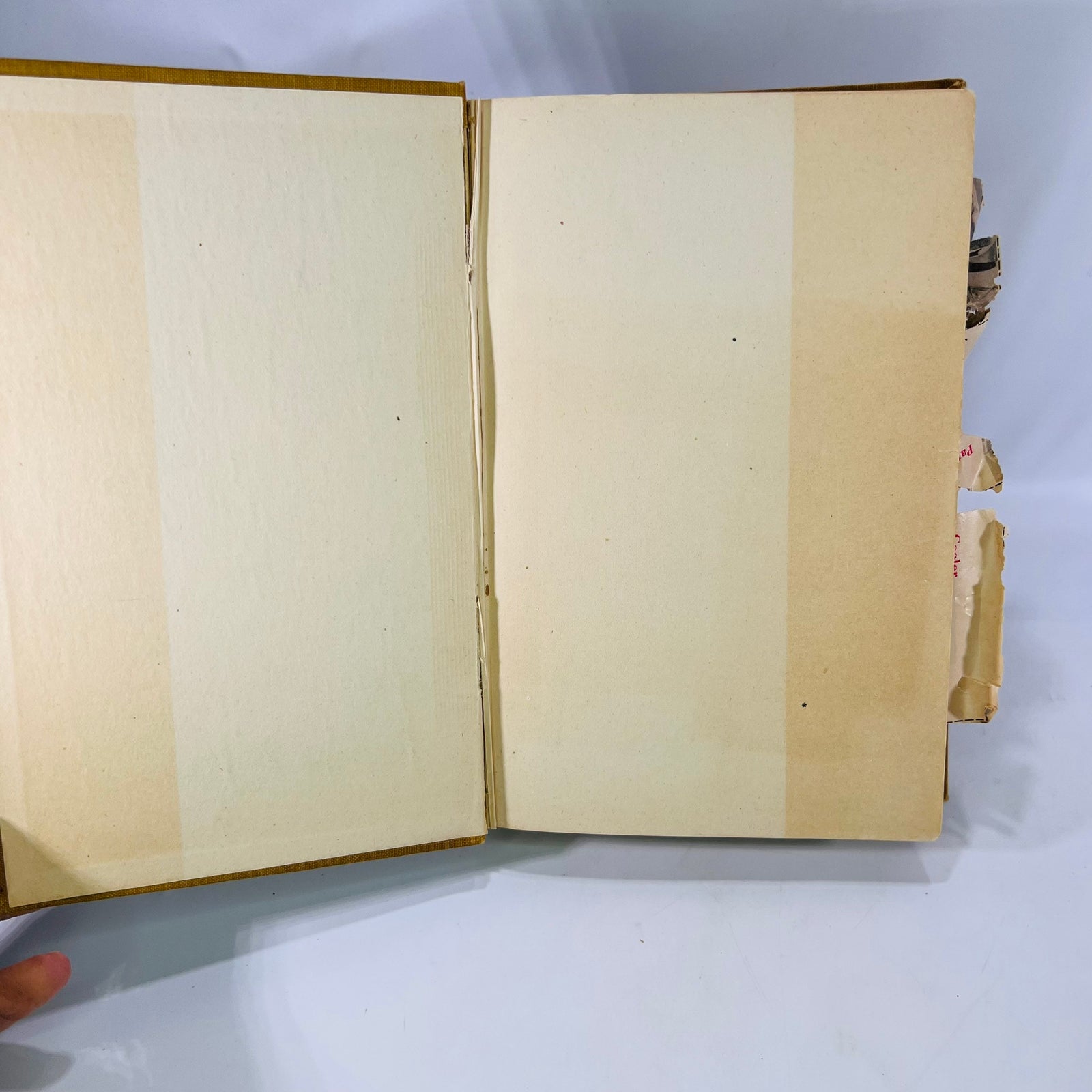 The Keefer Cook Book Choice and Tested Recipes by Arminta Viola Reynolds Keefer Redfield Publishing Co Press Vintage Cookbook with Recipes