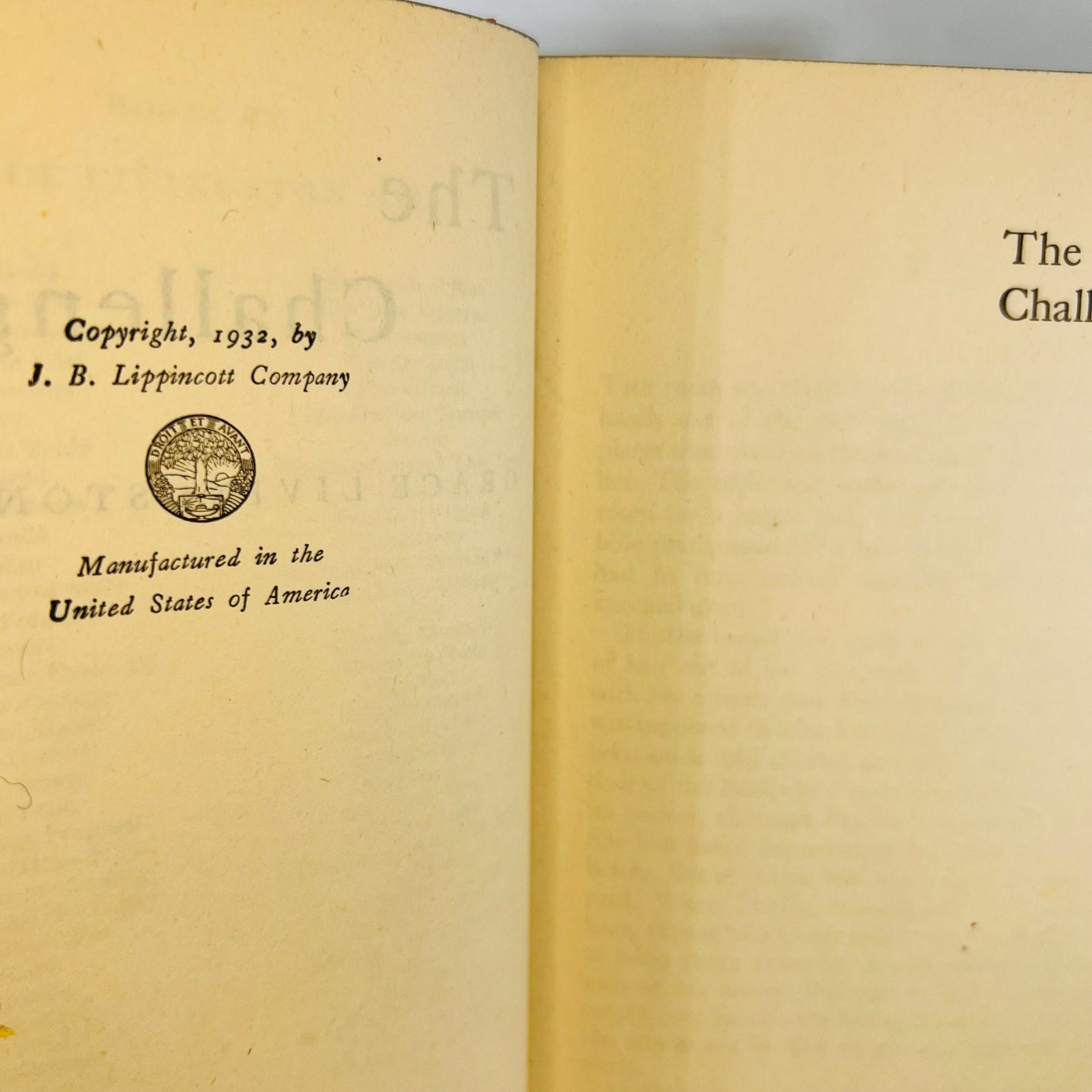 The Challengers byThe Challengers 1932 Grosset & Dunlap Vintage Fictional Book