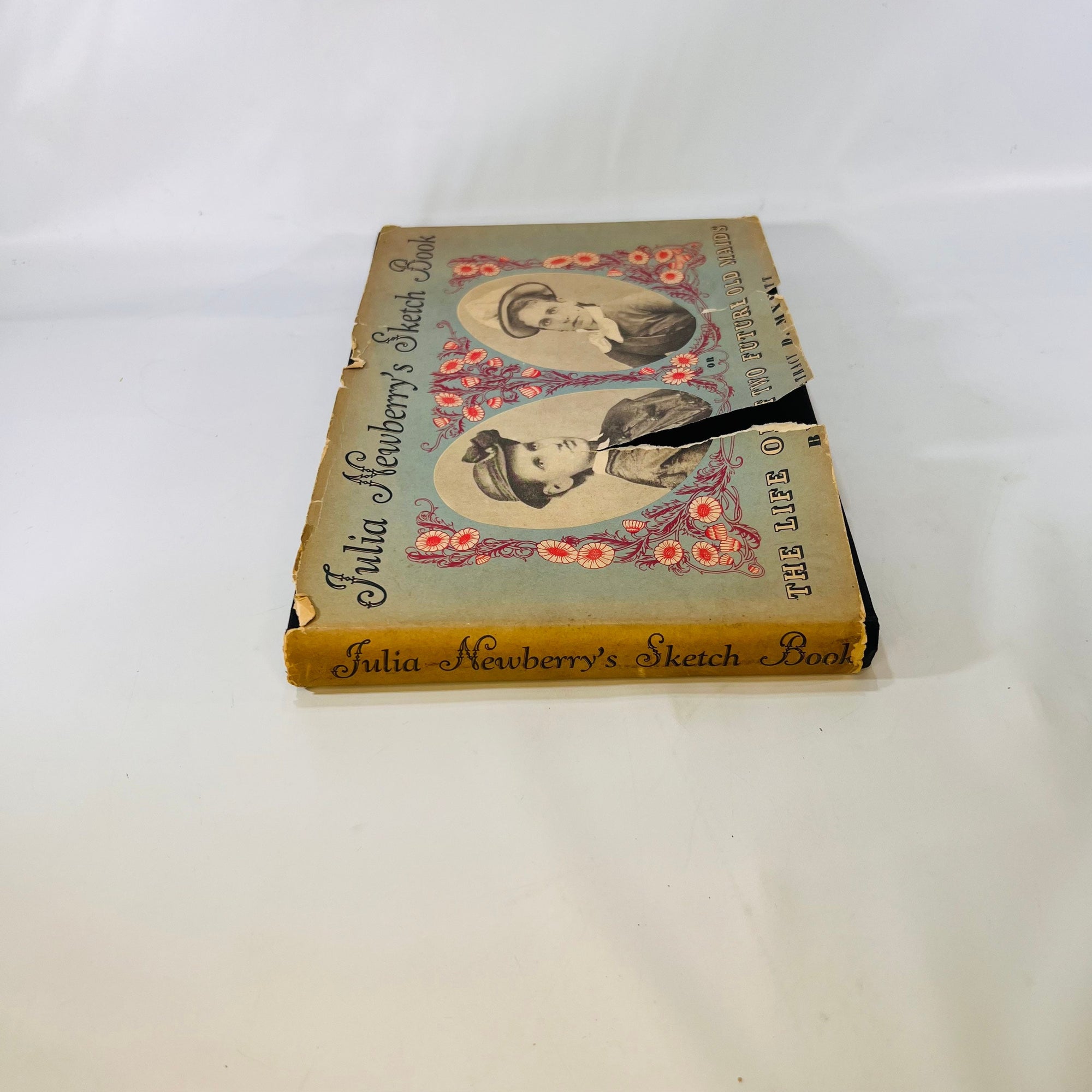 Julia Newberrys Sketch Book the Life of Two Future old Maid's by Tracy D Mygatt 1934 W W Norton & Company Vintage the Real Life Account Book