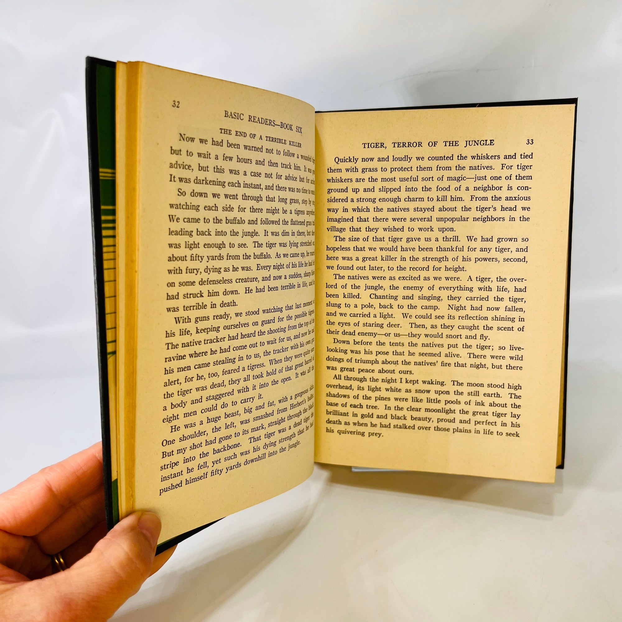 Basic Readers Book Six by Ellison-Gray 1936 Scott Foresman and Company Vintage Children's School Book