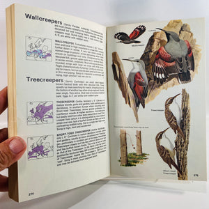 The Hamlyn Guide to Birds of Britain and Europe by Bertel Bruun 1970