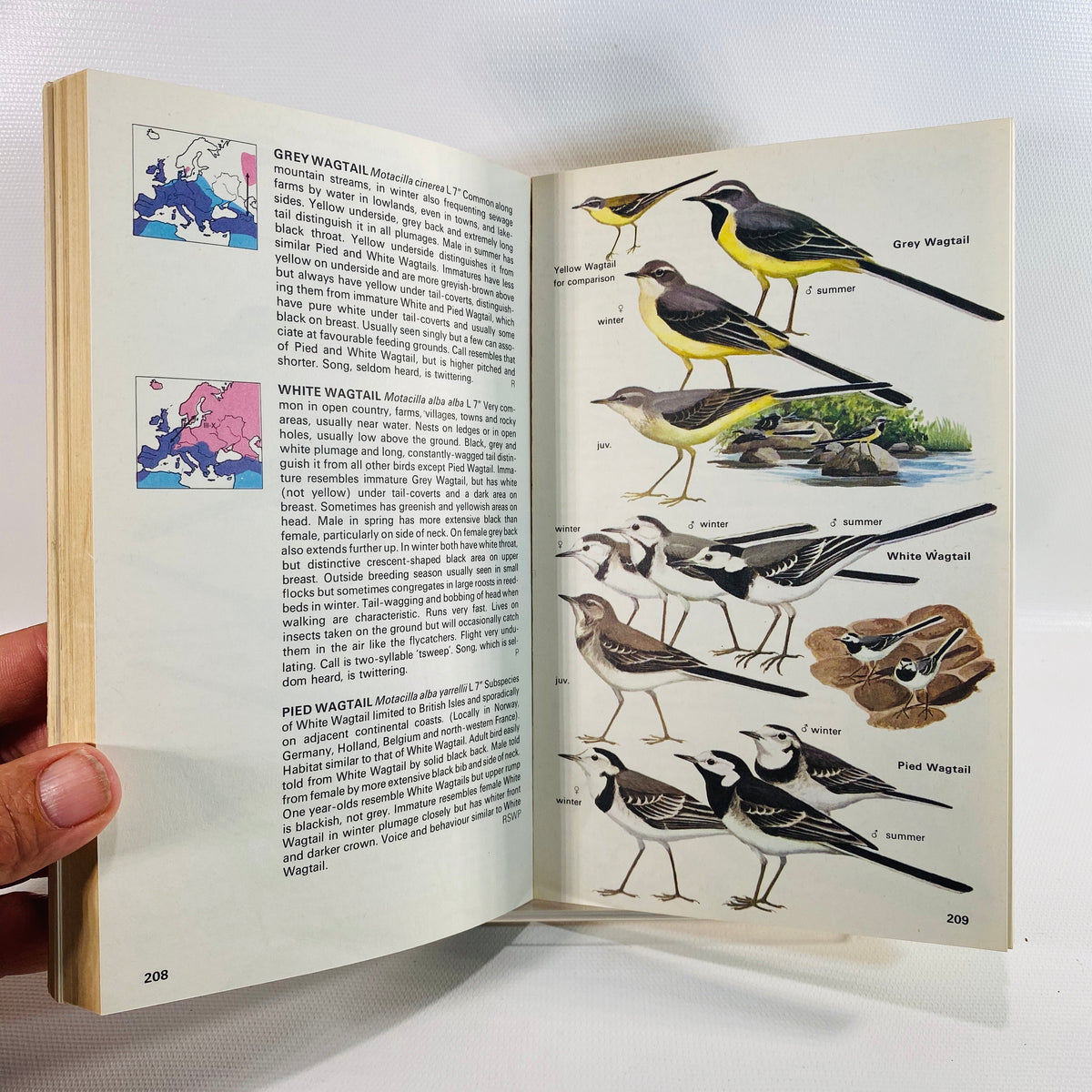 The Hamlyn Guide to Birds of Britain and Europe by Bertel Bruun 1970