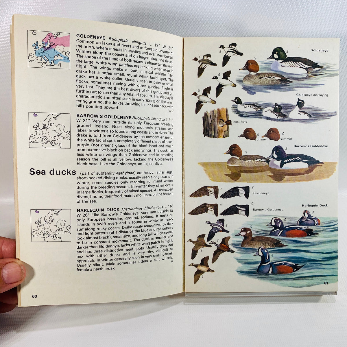 The Hamlyn Guide to Birds of Britain and Europe by Bertel Bruun 1970