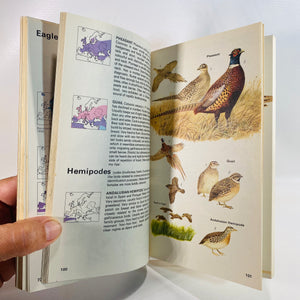 The Hamlyn Guide to Birds Britain & Europe by B Bruun 1970-Reading Vintage