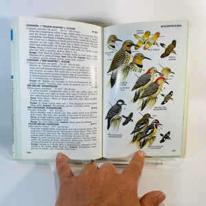 Eastern Birds Roger Peterson a Peterson Field Guide 1980-Reading Vintage
